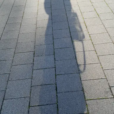 Profile image of 미츄의 여우맴버