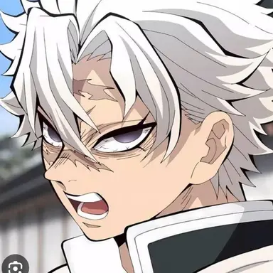 Profile image of 시나즈가와 사네미