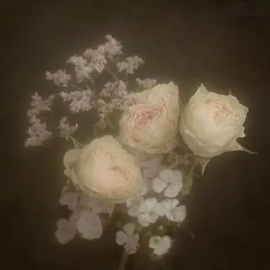 Profile image of 한지성