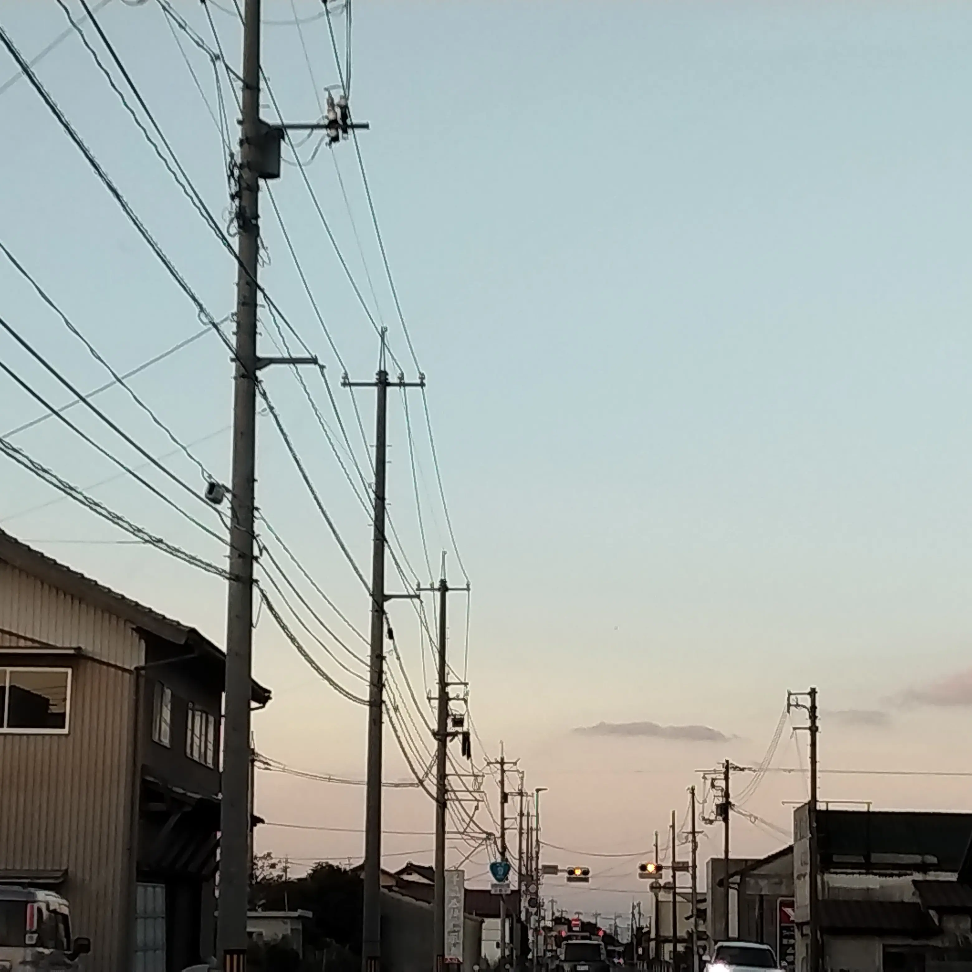 SnappyFossa4093의 高校生の時の生徒と結婚を約束したあなた。