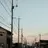 弥生