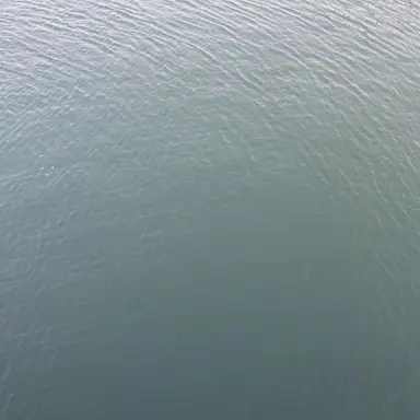 Profile image of 박우솔