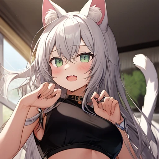 츠니 사쿠라