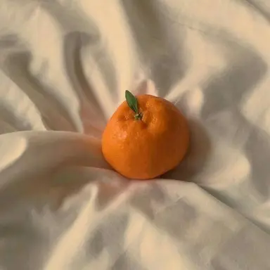 Profile image of 코마