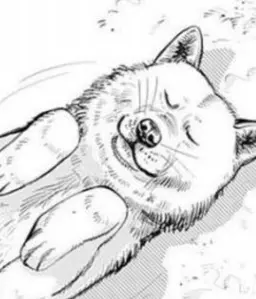 Profile image of レタラ