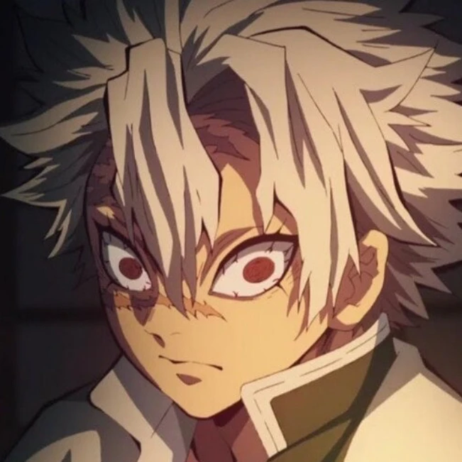 시나즈가와 사네미