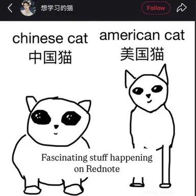 Profile image of meow meow