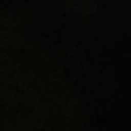 정수현