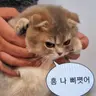 Profile image of 제타 때문에 빡친