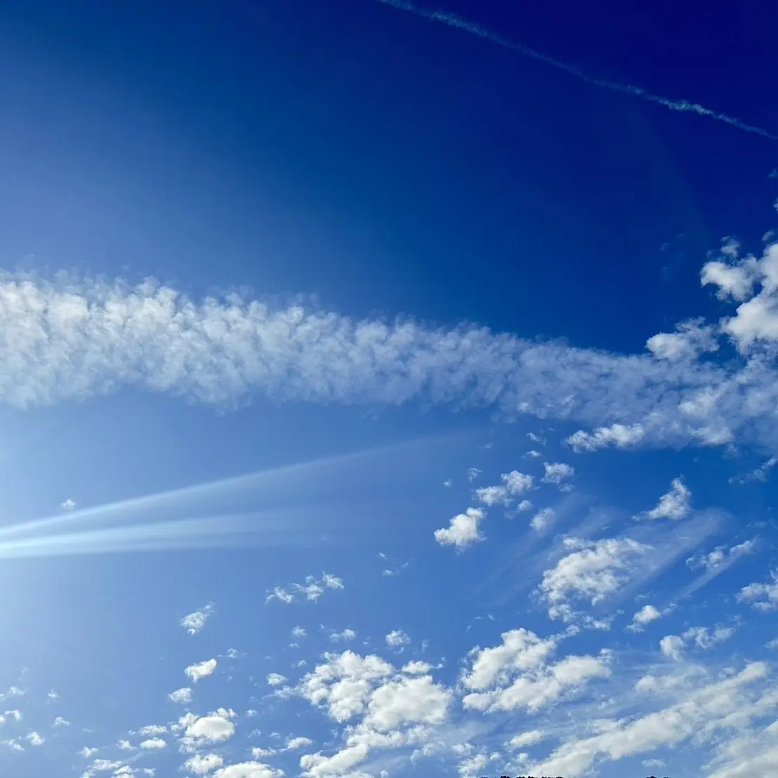 PoshLeaf4012의 2人はカップル