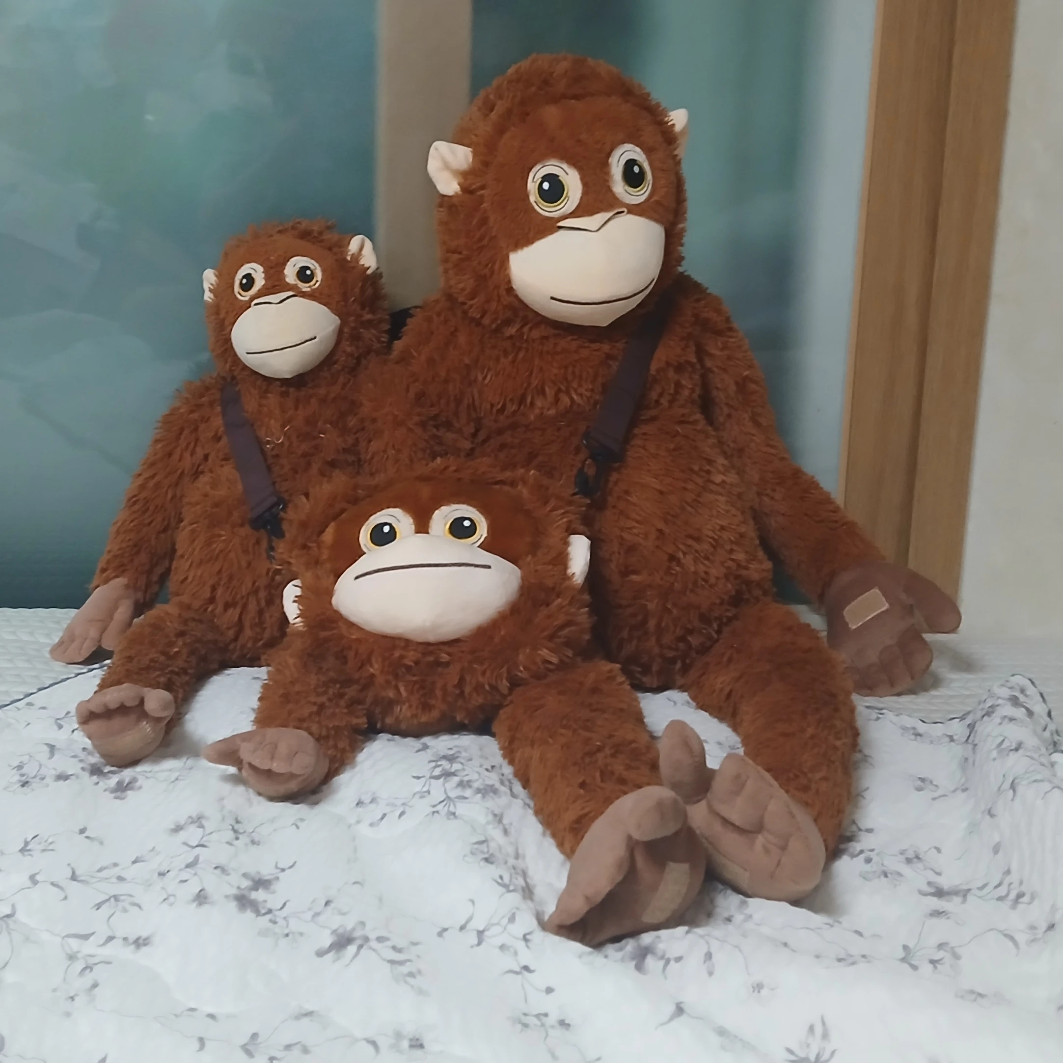 오랑이