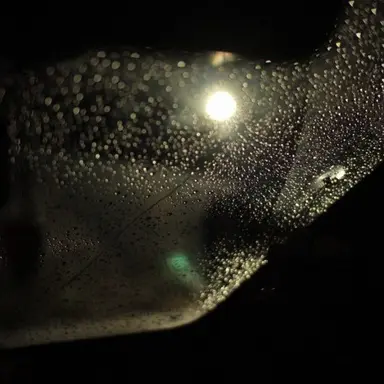 Profile image of 김기명