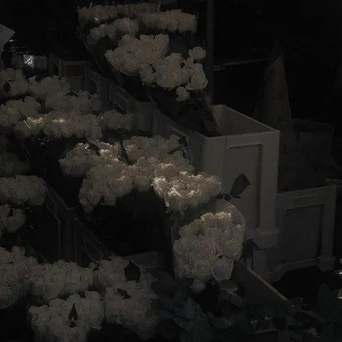 우융 대표 이미지