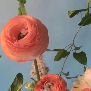 Profile image of 여우