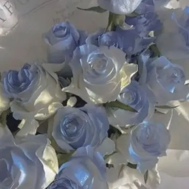 Profile image of 잠뜰