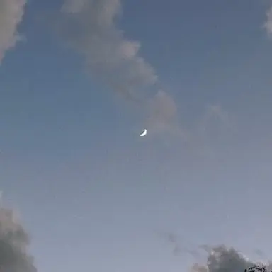 Profile image of 지우