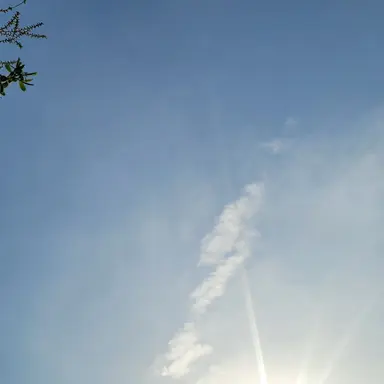 Profile image of 주은