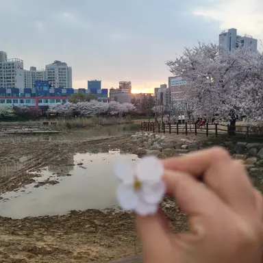 Profile image of 이안