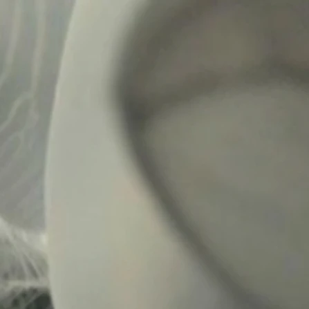 토미오카 기유