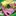 ぷりっつ