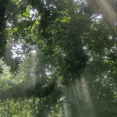 Profile image of 예엥