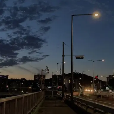 Profile image of 행크