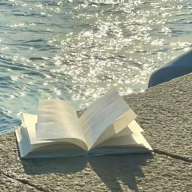 Profile image of 파이브