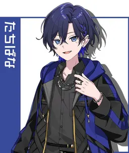 Profile image of たちばな