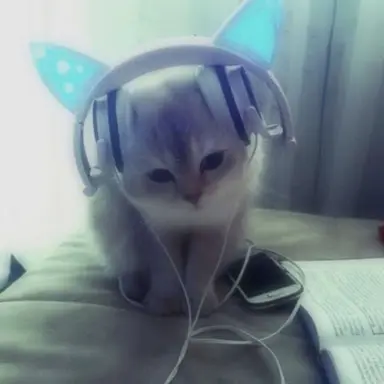 Profile image of 사생팬2