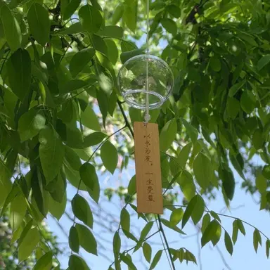 Profile image of 정형준