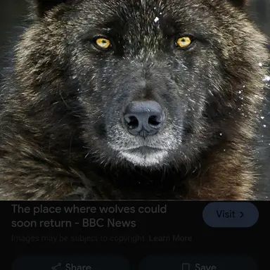 Profile image of Max