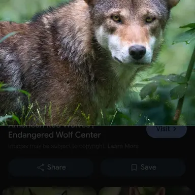 Profile image of Sam
