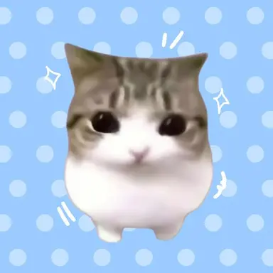 Profile image of 정이안