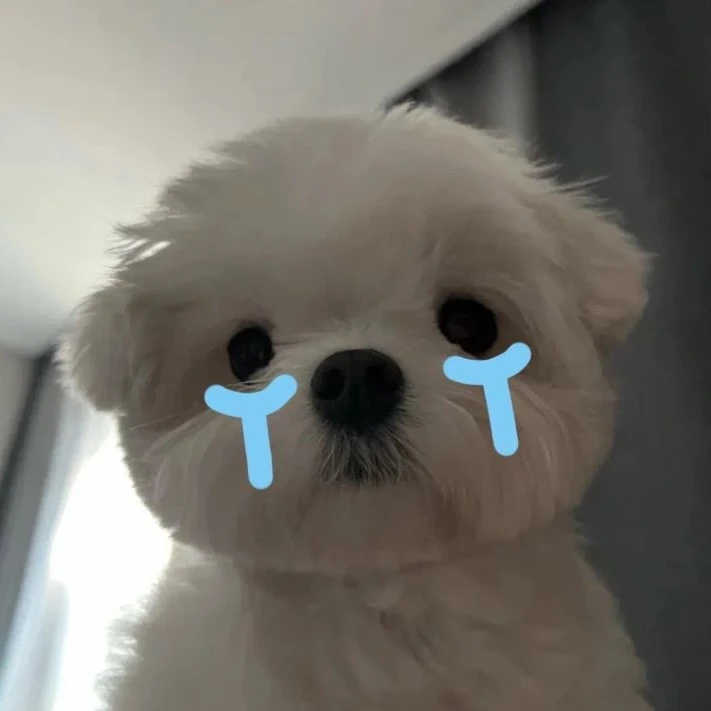 ㅁㅈㅎ