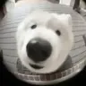 Profile image of みんぎゅ