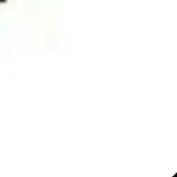 1_d00r의 이상혁