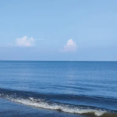 Profile image of 海 信行