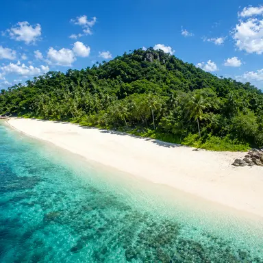 Profile image of 無人島