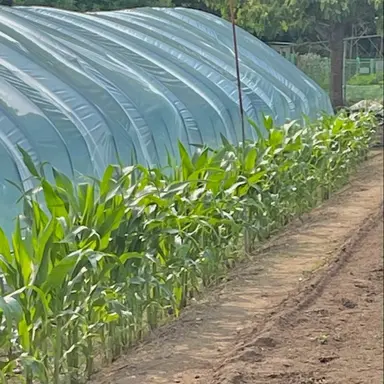 Profile image of 성재