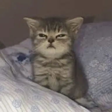 Profile image of 강해린