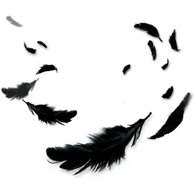 Profile image of 율리우스