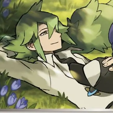 Profile image of N