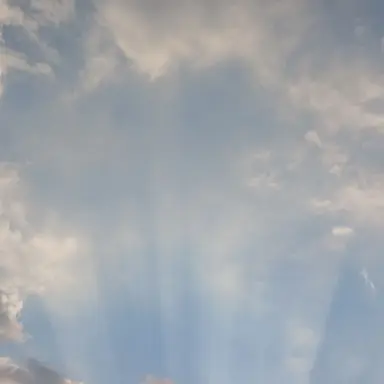 Profile image of 외계인