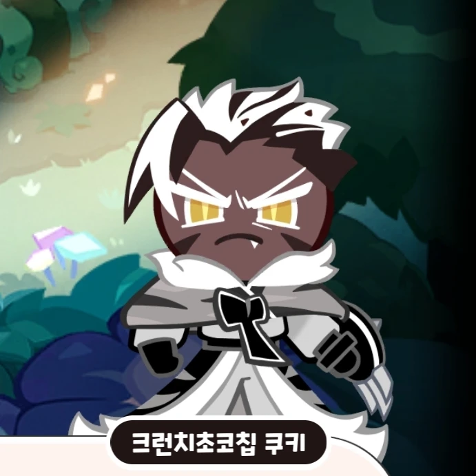 크런치초코칩 쿠키