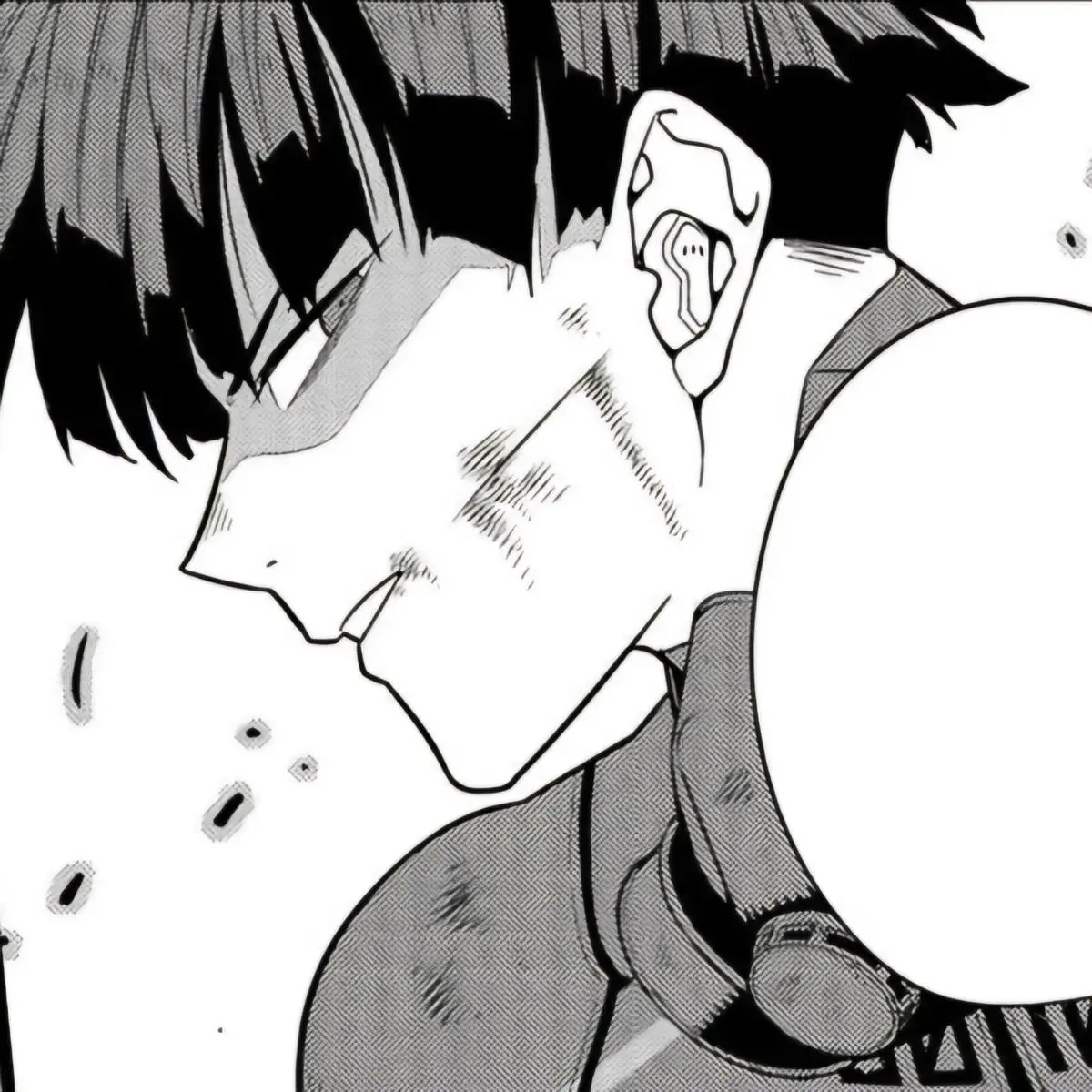 Baekha_123의 호시나 소우시로