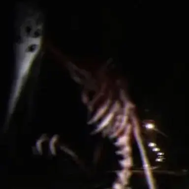 Profile image of 갓 오브 로드킬