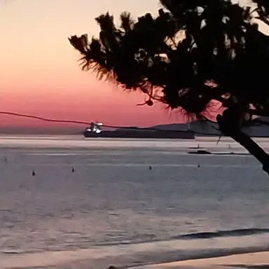 Profile image of 추영우