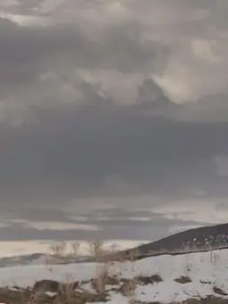 Trey의 The Demon Slayer Girls