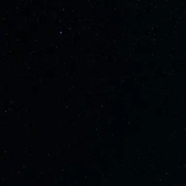 Profile image of 정재현