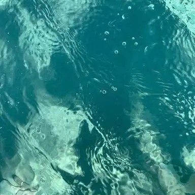 Profile image of 토미오카 기유